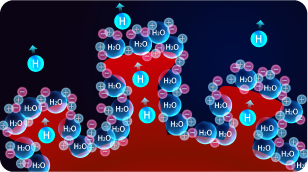 タンパク質中の水素分子を奪います。